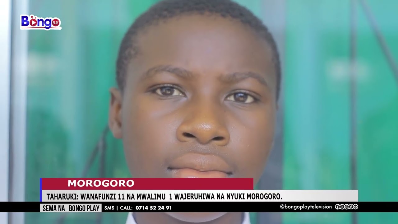 TAHARUKI: WANAFUNZI 11 NA MWALIMU  1 WAJERUHIWA NA NYUKI MOROGORO.