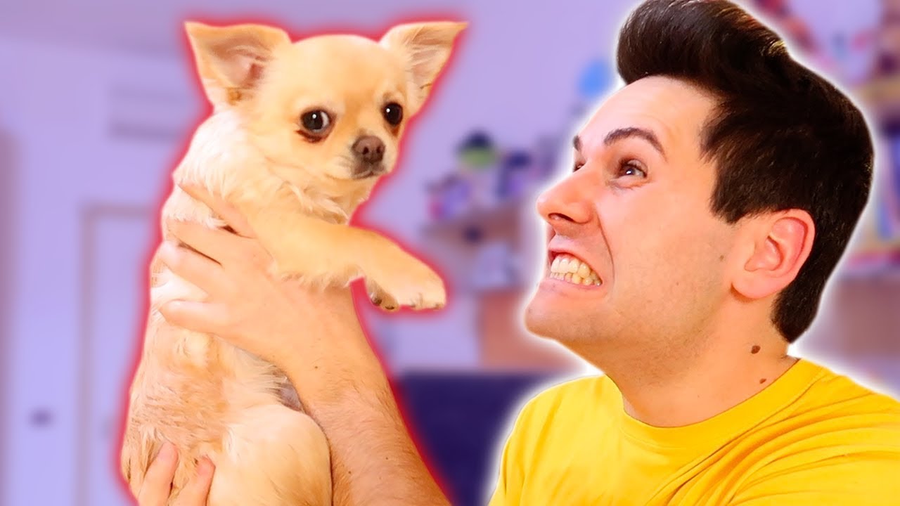 ODIO IL MIO CANE.