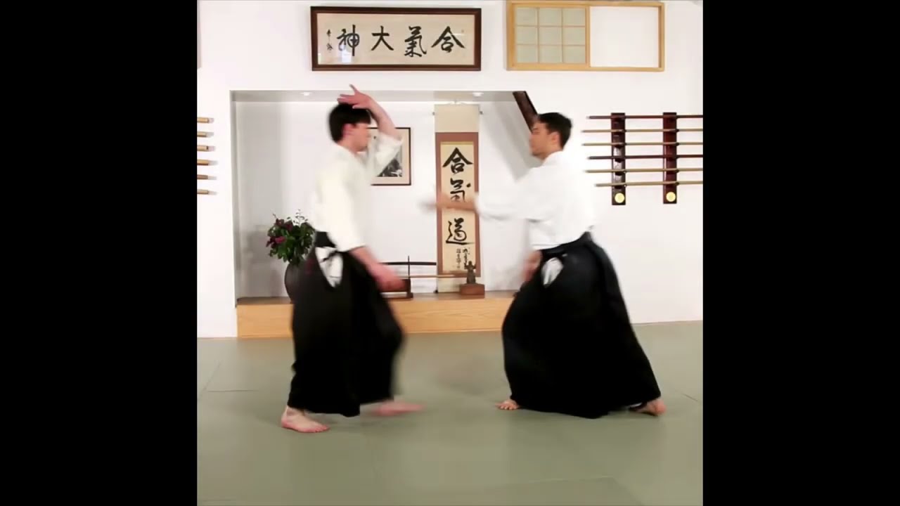 Aikido: shōmen uchi&nbsp;-&nbsp;irimi nage by Mike Jones Sensei