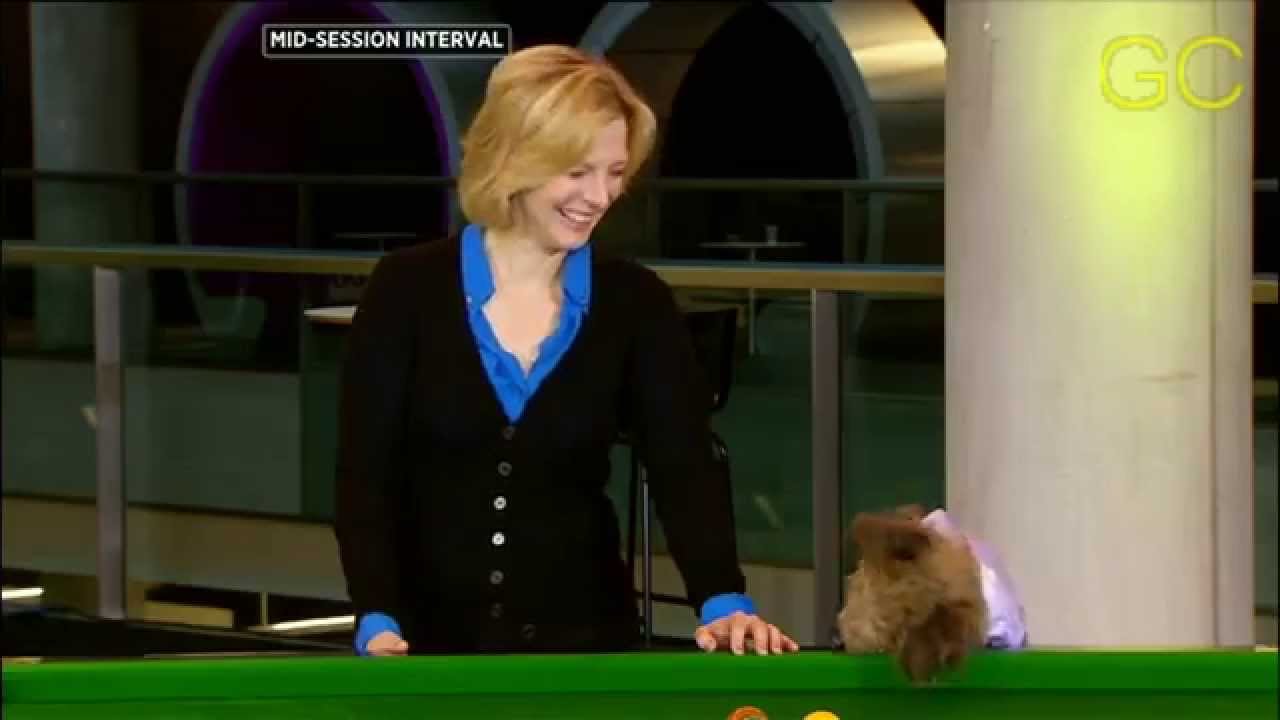 Snooker W.C.[2015]-Hazel Irvine with Hacker T Dog [HD]