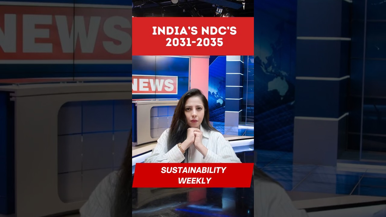 Разъяснение пересмотренного Национального плана действий Индии по борьбе с изменением климата | У...