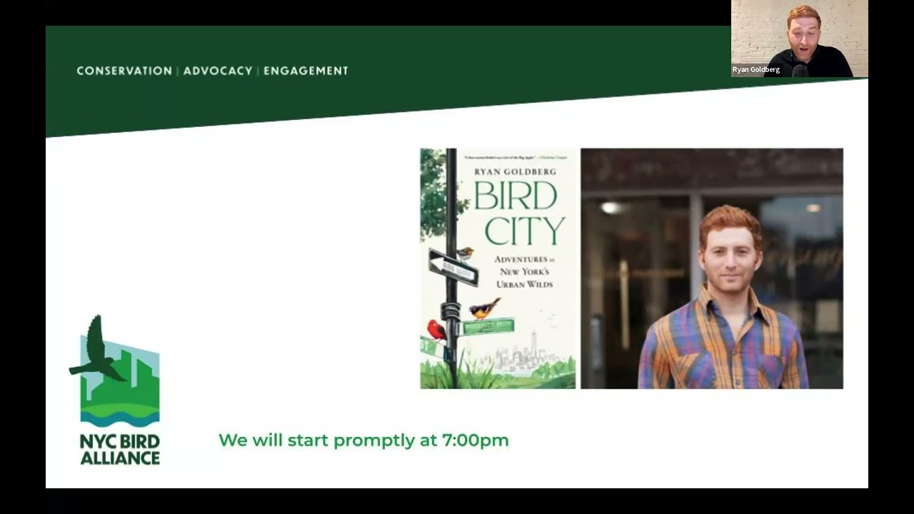 NYC is Bird City by Ryan Goldberg