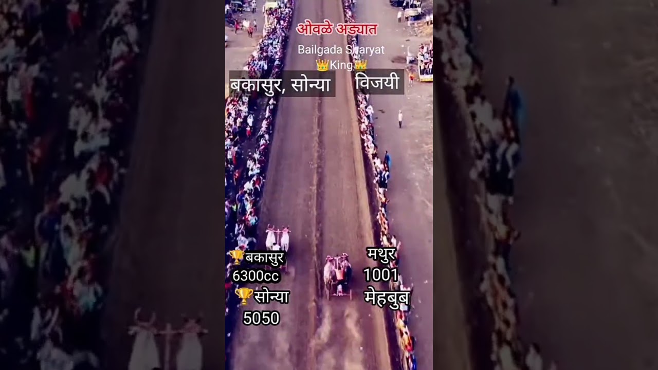 sonya vs mathur And sonya win.     bakasur vs mahbub #sonya #bakasur #bailgadasharyat  💥🔝