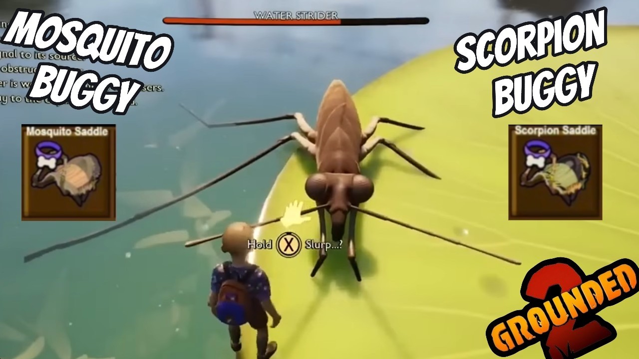 Summer Update + Leaks