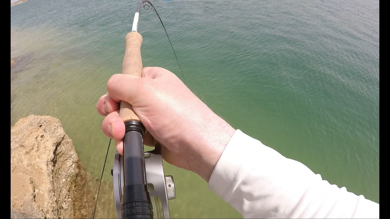 Fly Fishing Ghantoot: Stunning Two Bar Sea Bream on Fly