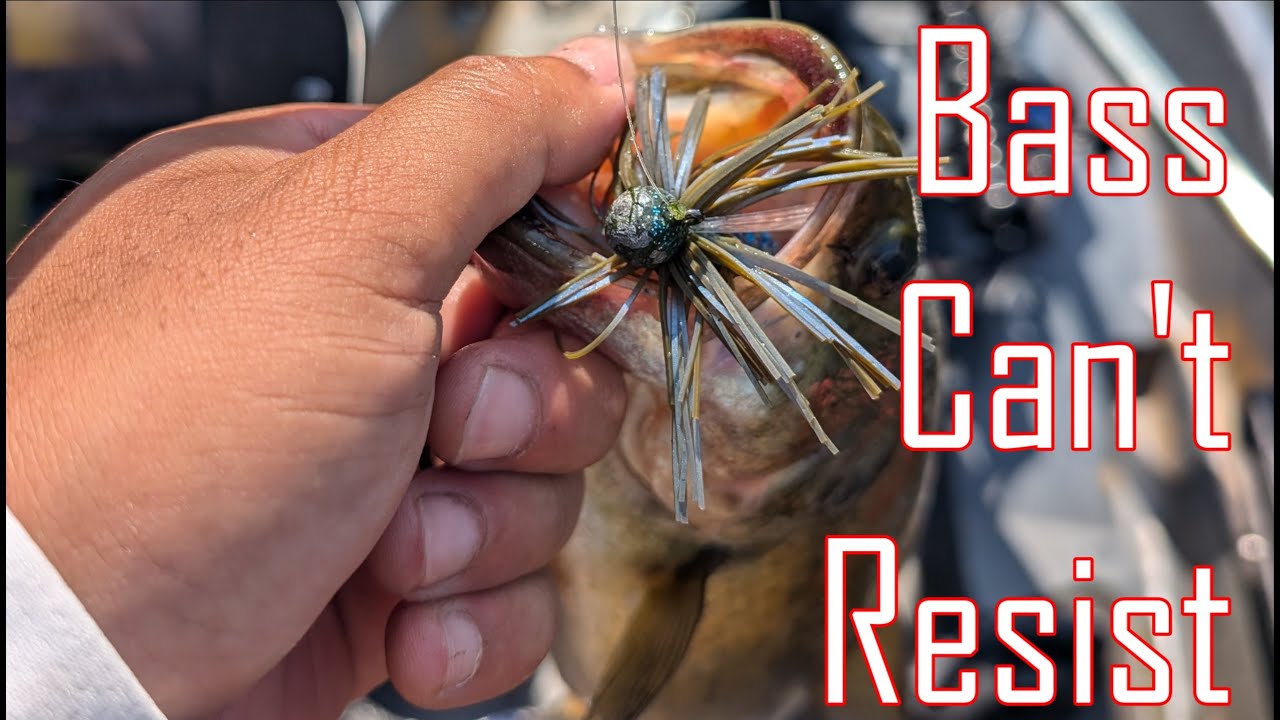 Finesse Jig SAVED My Day on the Chicago River!