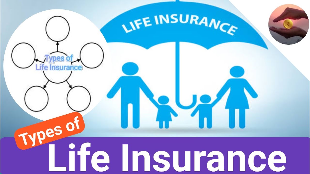 Types of Life Insurance Plans in Hindi|Life Insurance Policy Types|@MarketKMovers
