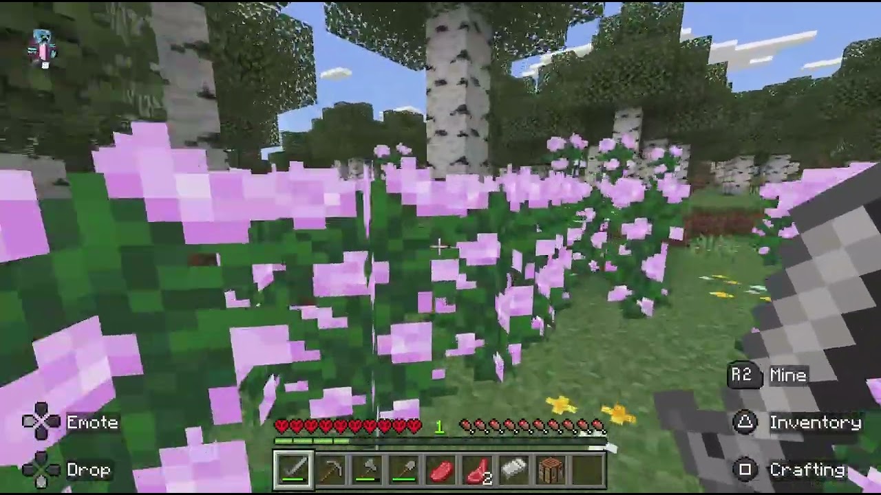 Minecraft_20260223011146