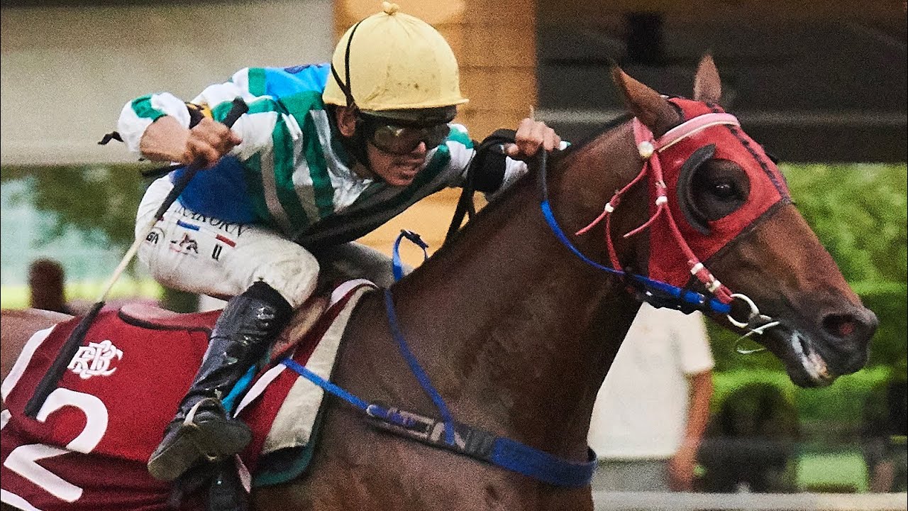 PAO HUE - 17/01/2026 - Race 9 - Country-Bred Class 3