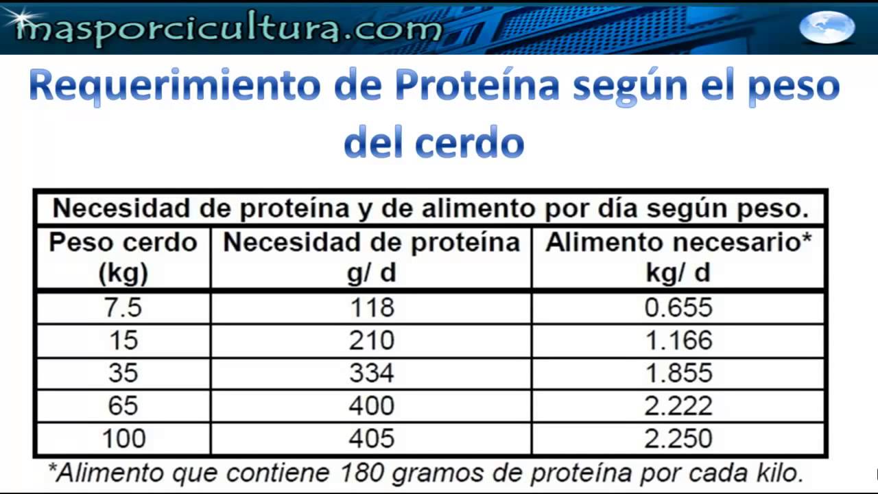 Alimentación por fases en Porcicultura