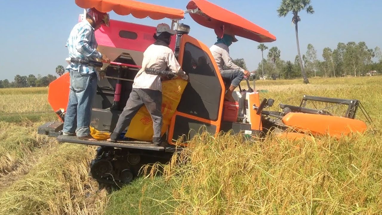 World Most Amazing Modern Agriculture Heavy Equipment | Modern Machines Harvesting #Amazing Tractors