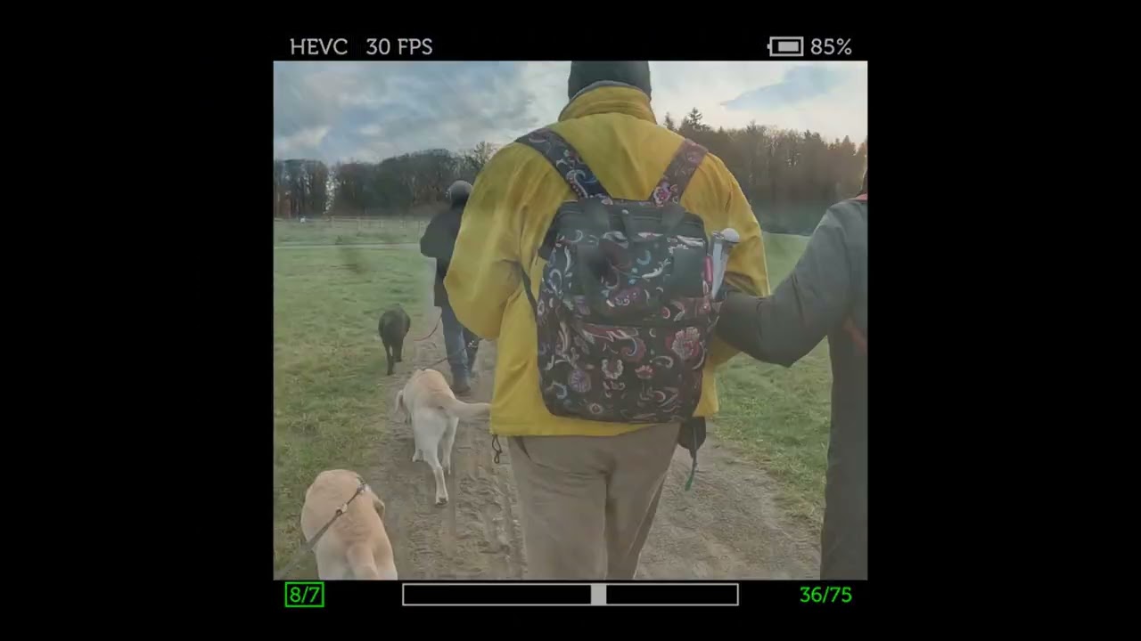 20251122 Leuke wandeling met de pleeggezinnen van T&T