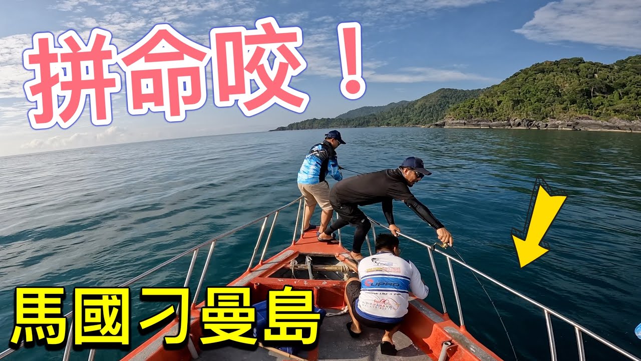 [馬來西亞刁曼島2]終於拼命咬了齁！就說不可能再比昨天差了啦！#赫馬士 #tiomanisland  #旅遊  #fishing
