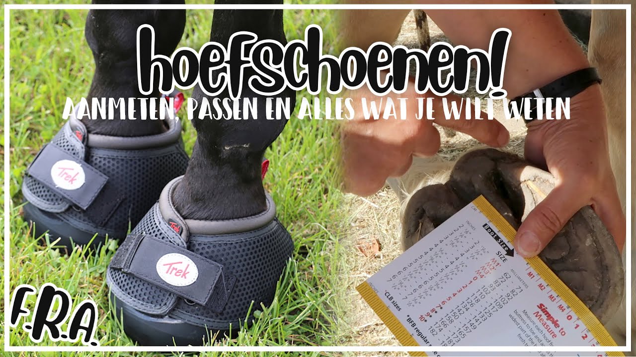 Alles over F.R.A. HOEFSCHOENEN! | Epplejeck