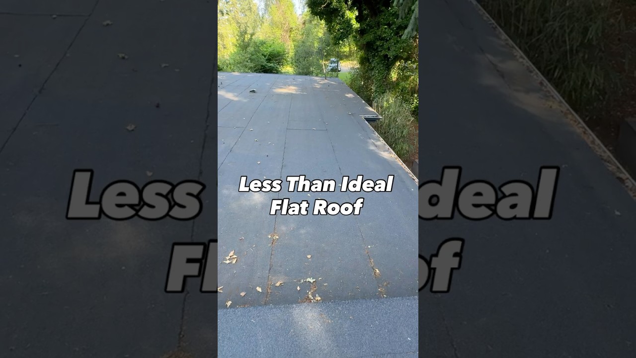 Flipped house, terrible flat roof