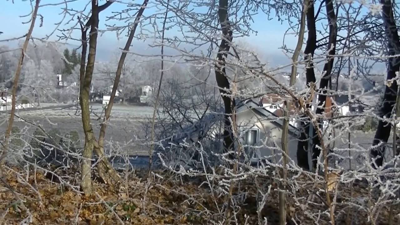 Straubing, Winter, Stadtpark