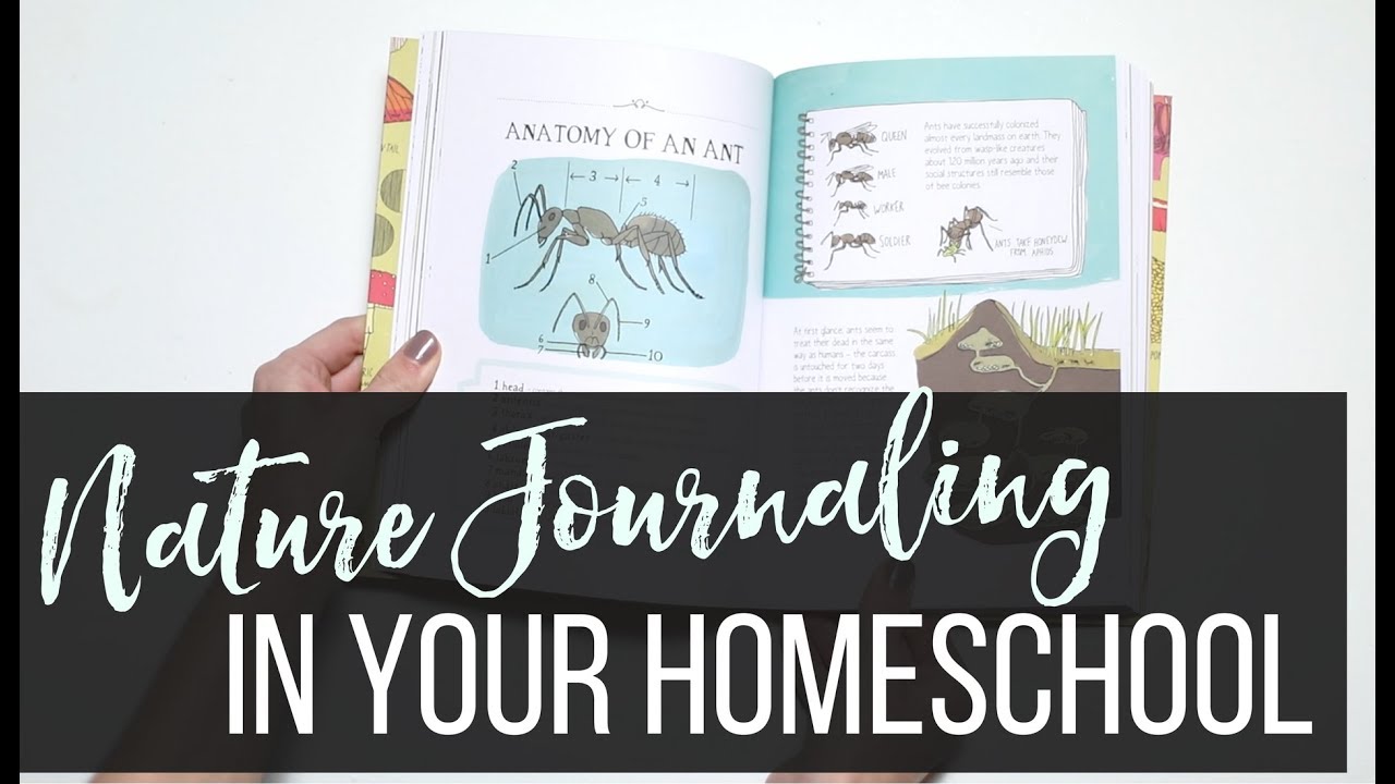 Nature Journaling and Nature Studies in your Homeschool