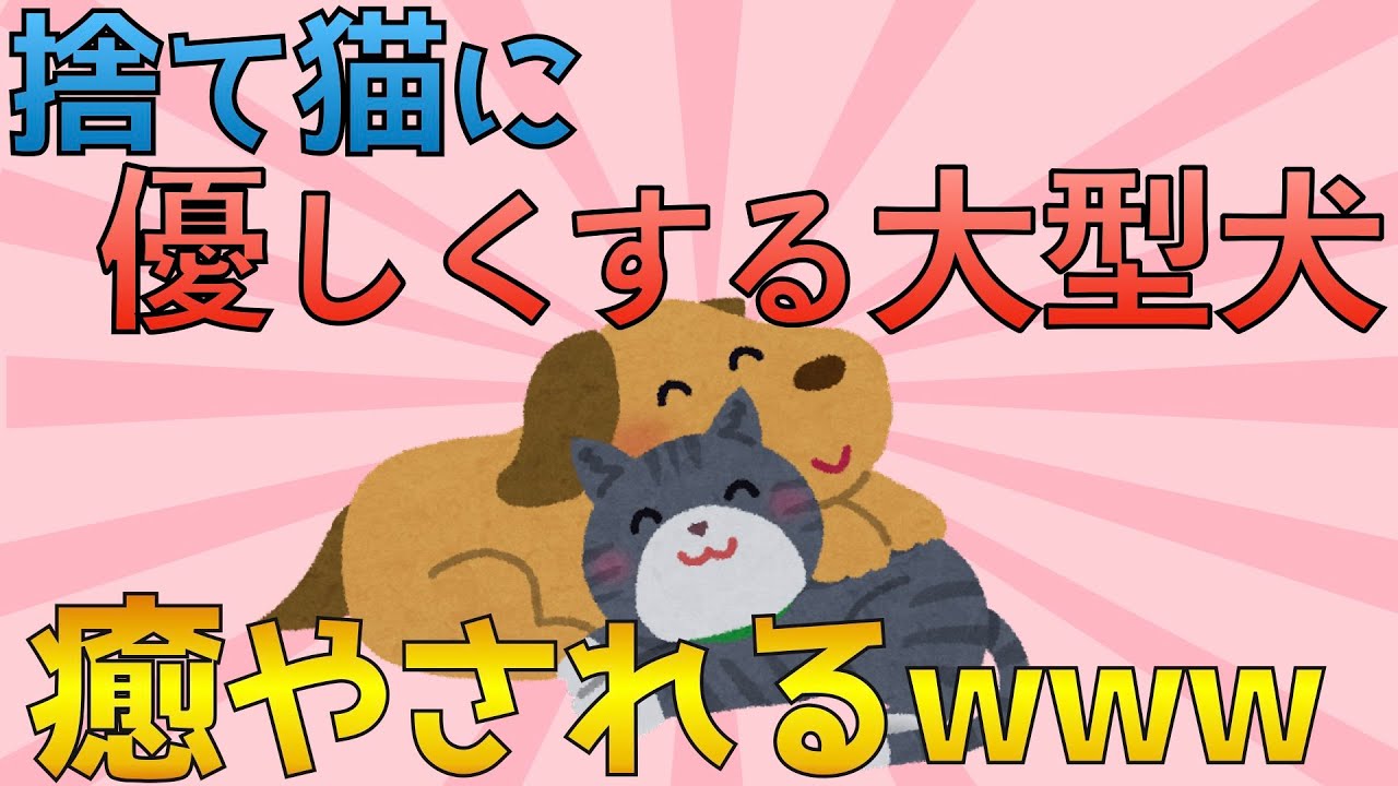 【2chホッコリ話スレ】ガリガリの捨て猫に優しくする大型犬に和む【ゆっくり解説】