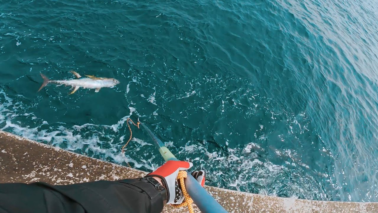 足元にアジを落とすと10分でマグロが釣れる堤防が凄すぎる件