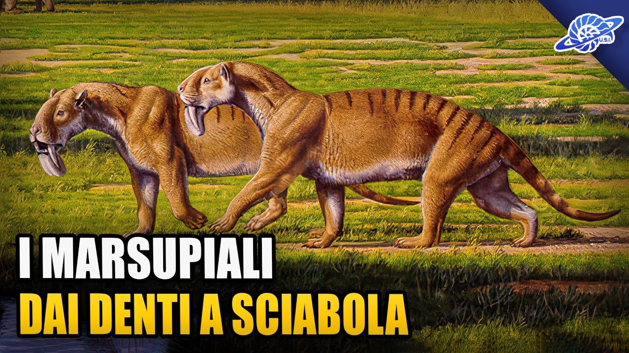 I Marsupiali dai DENTI A SCIABOLA