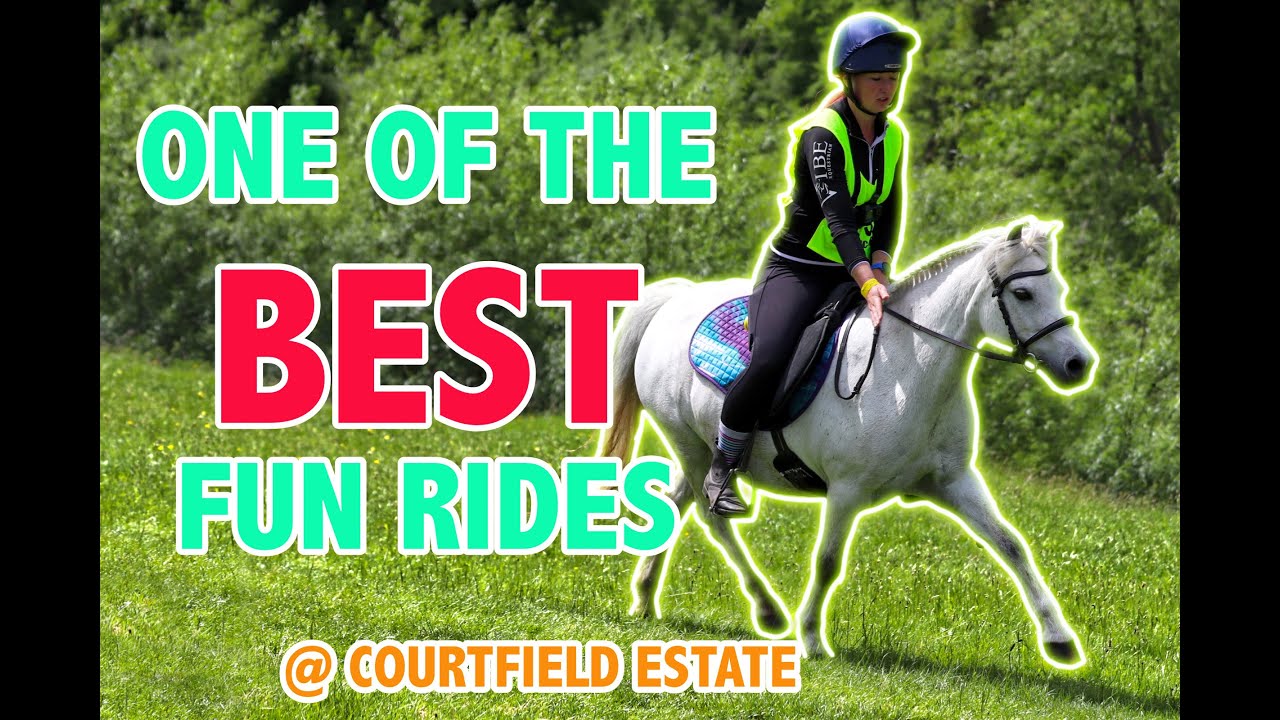 Horse Riding Along the River Wye! | POV Ride With Me