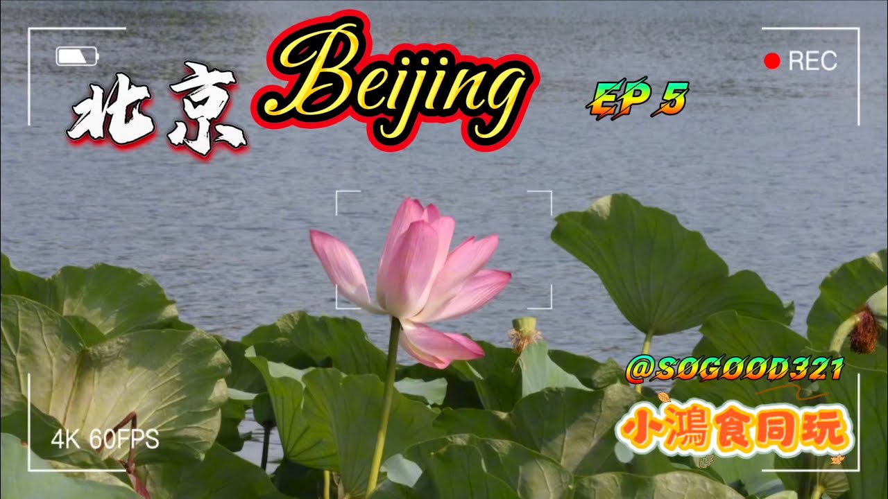 北京Vlog | 軍事博物館 Military Museum | 什剎海胡同漫遊  Shichahai |東城酒店入住 | 涮羊肉￼￼一日遊 | Eng subtitles