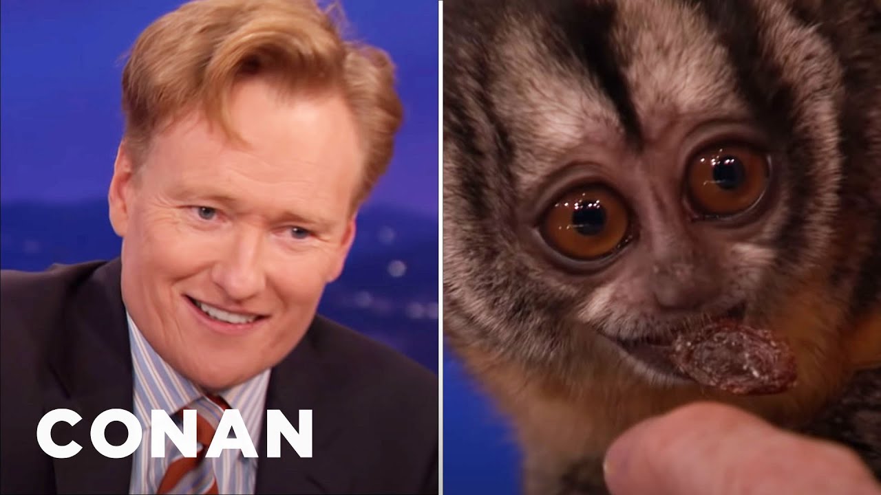 Conan Tangles With An Owl Monkey | CONAN on TBS