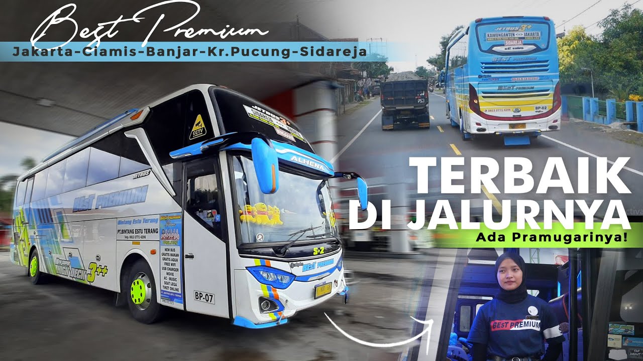 SERUU !! FULL KONVOY TAKLUKKAN JALUR BERLIKU 🔥 - Trip BEST Premium 
