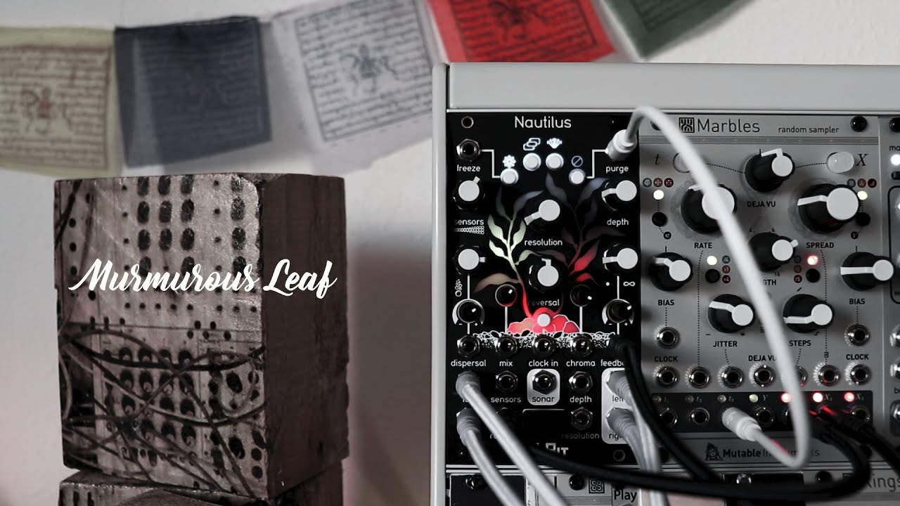 Murmurous Leaf | Feat. Digitone, Keystep Pro, Nautilus, Morphagene & Mutable Instruments Clouds.