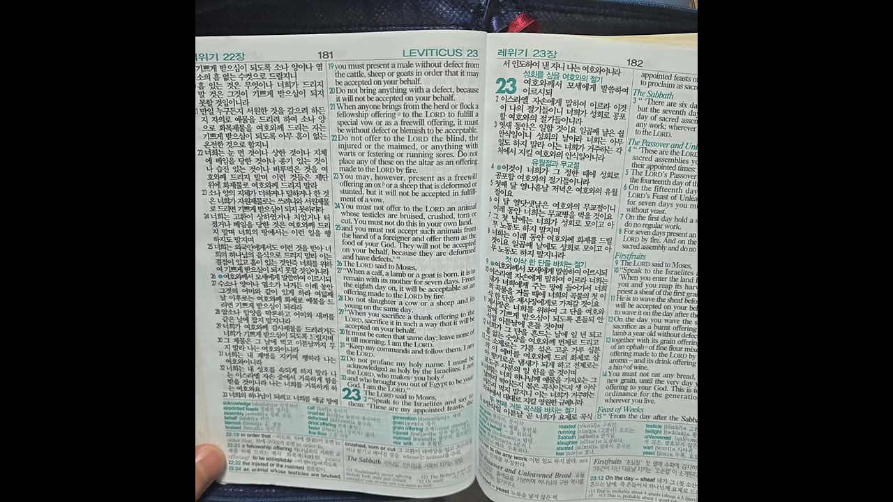 리딩지저스 성경통독 4주 5일차 - 레위기 21-25장