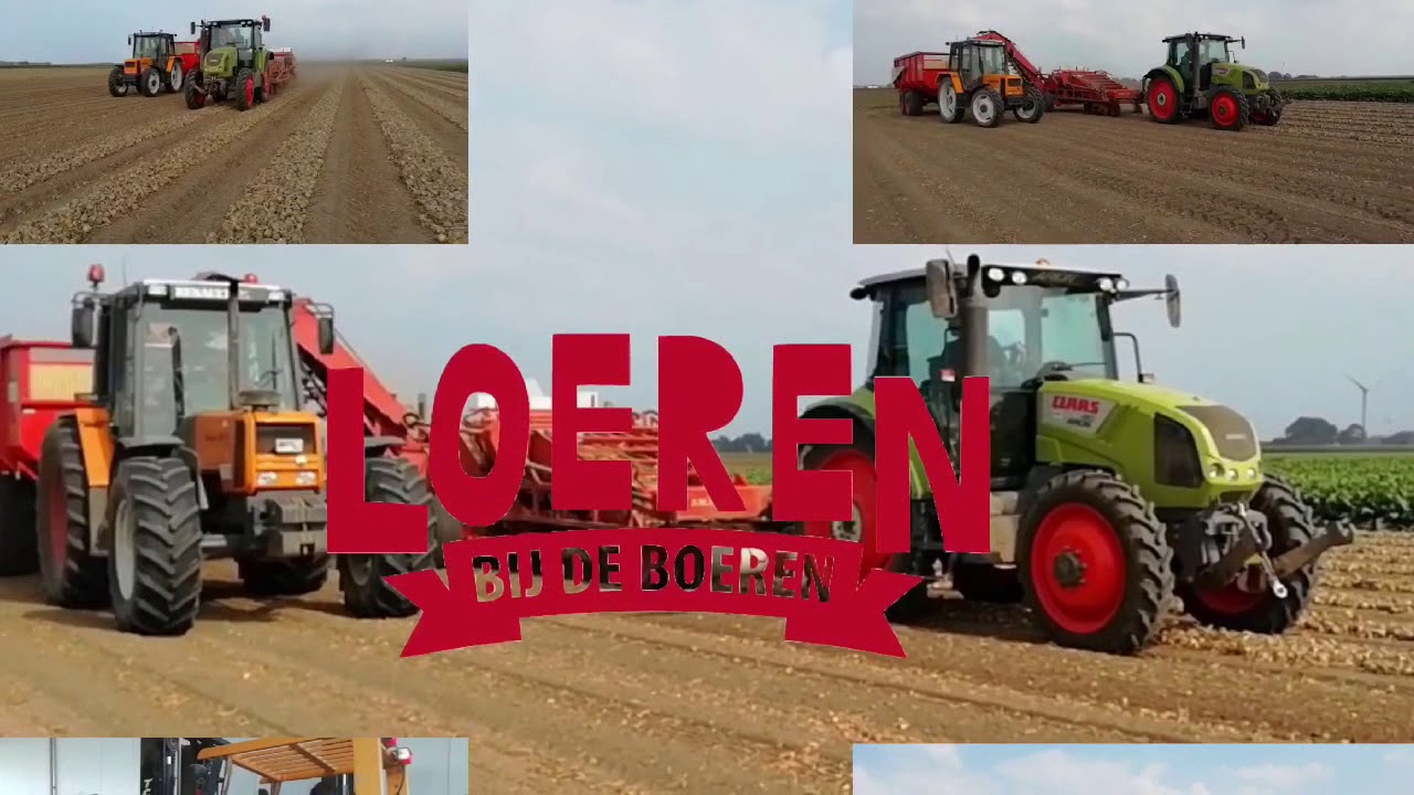 Bio uien laden | Claas Arion 410 | Renault 90-34/106-54 | in kisten | 2018