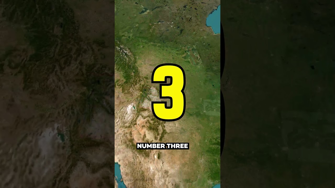 Top 5 States With the MOST Speeding Tickets
