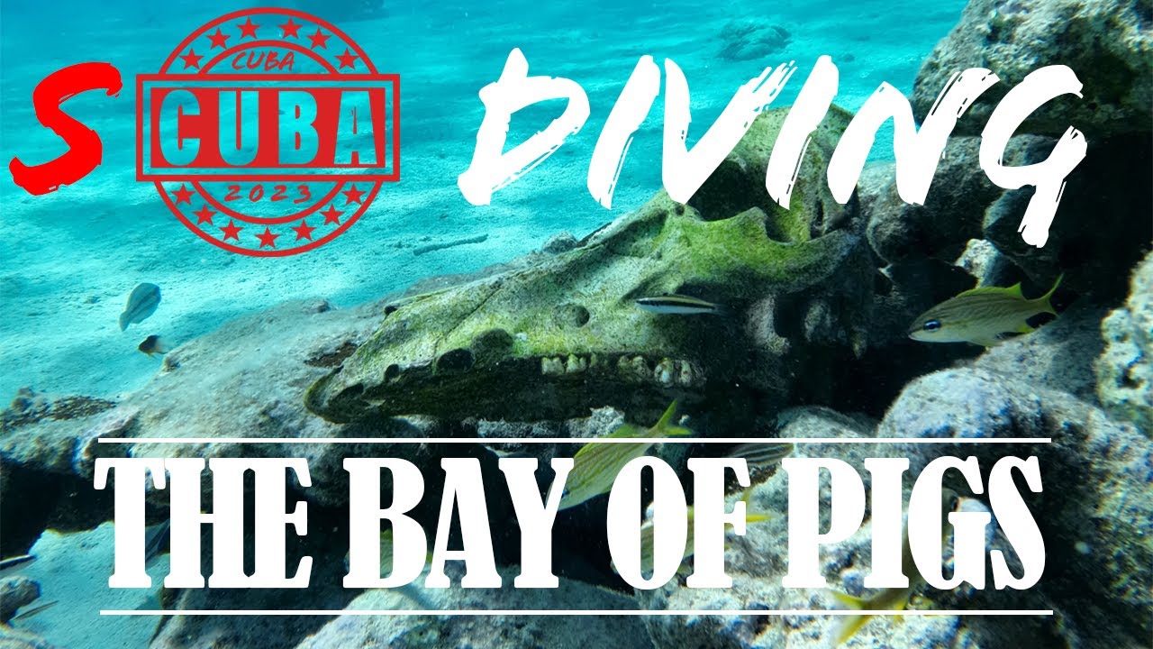 SCUBA Diving in CUBA - Dangerous? Worth it?