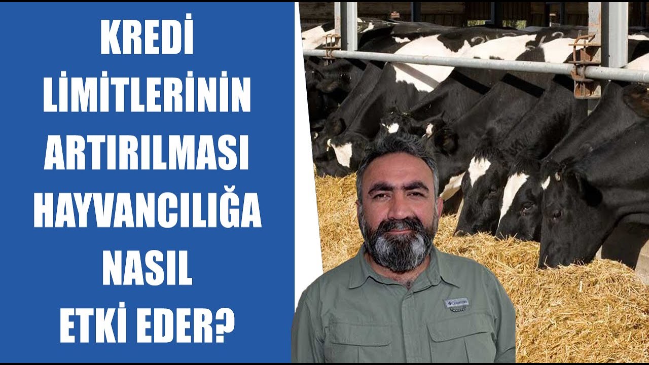 #CANLI Kredi Limitlerinin Artırılması Hayvancılığa Nasıl Etki Eder? | Eşref Şekerli Açıklıyor