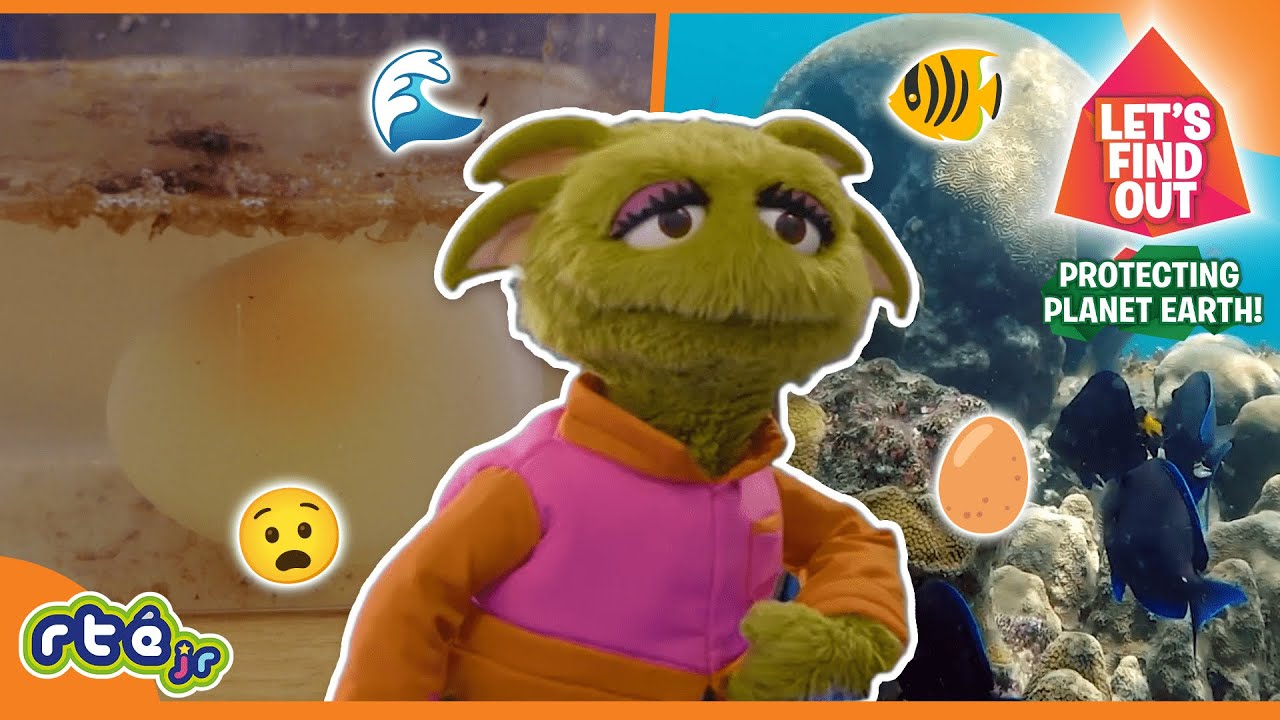 🔍 How Does ACID Affect the OCEAN? 🌊 | Let's Find Out | Science for Kids | RTÉjr
