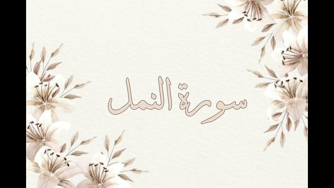 تلاوة خاشعة ناصر القطامي سورة النمل بدون اعلانات جودة عالية