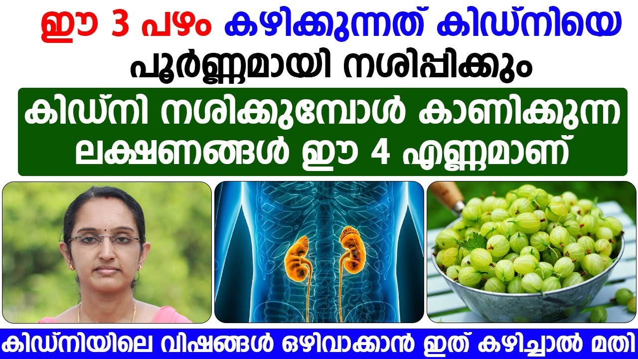 കിഡ്നി നശിക്കുമ്പോൾ കാണിക്കുന്ന ലക്ഷണങ്ങൾ |DR PRIYA