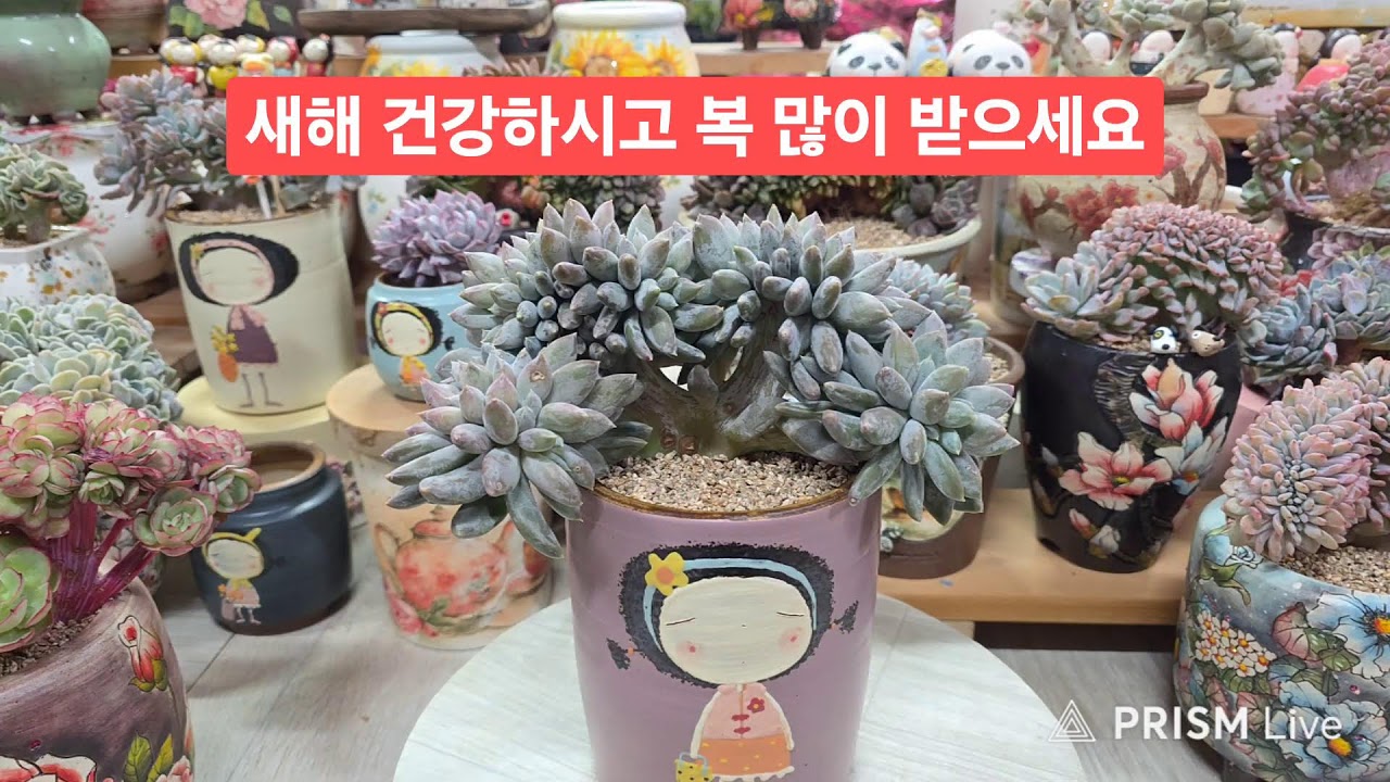 어게인다육 라이브) 2월16일 새해 건강하시고 복 많이 받으세요