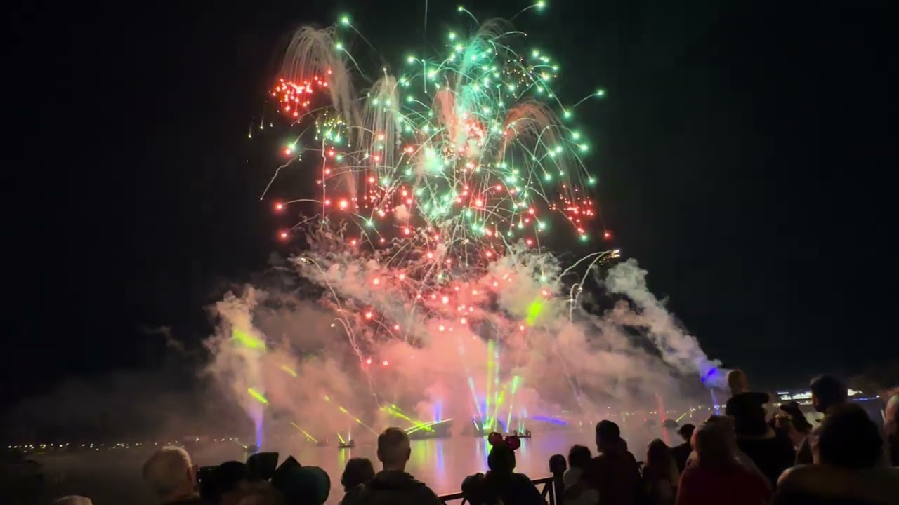 Luminous:The Symphony of Us - Epcot Fireworks Show - 12/9/24