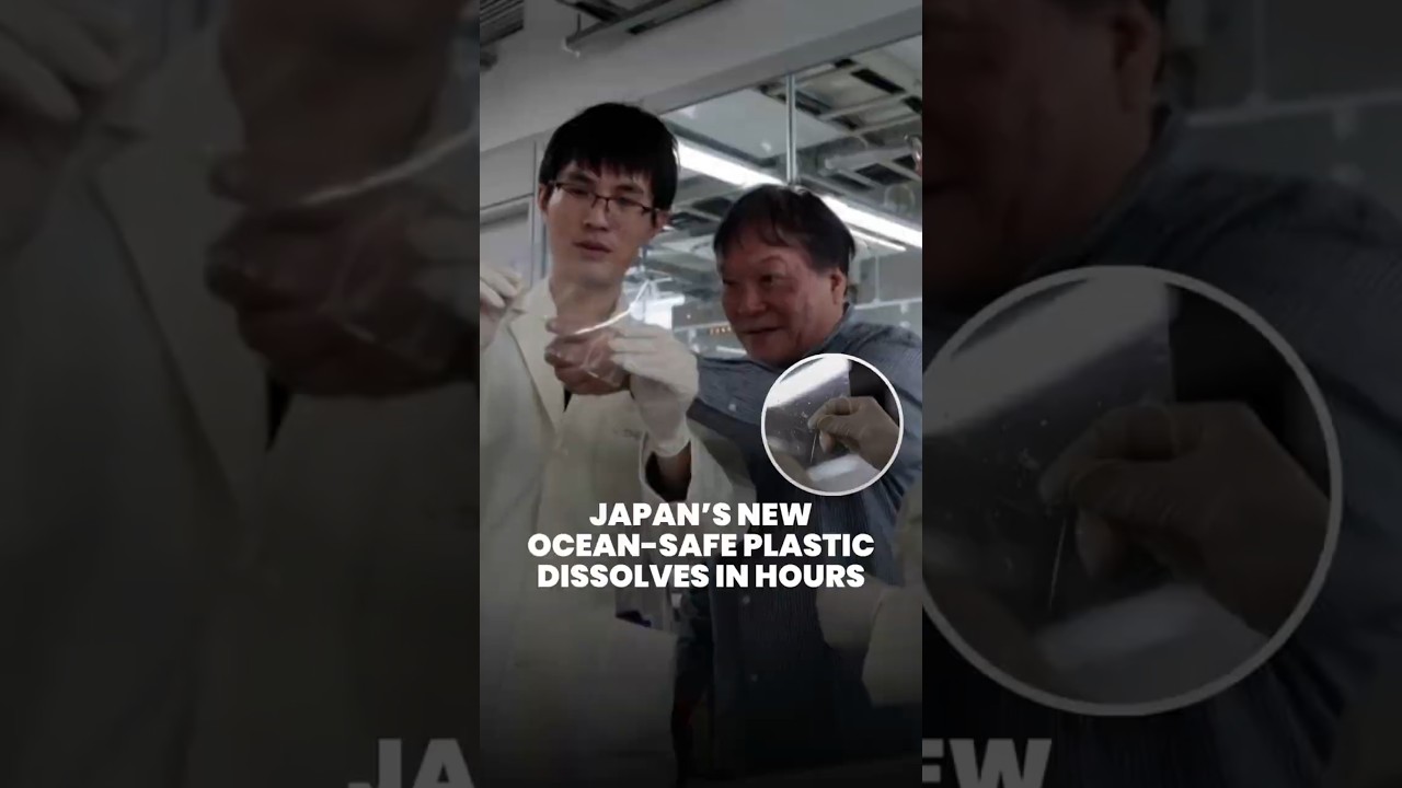Japan invents eco-friendly plastic that dissolves in seawater within hours