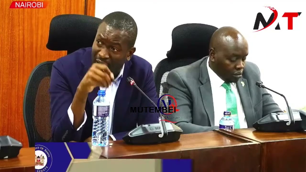 GOV MBARIRE IN HOT SOUP AS SEN SIFUNA CORNERs HER IN SENATE