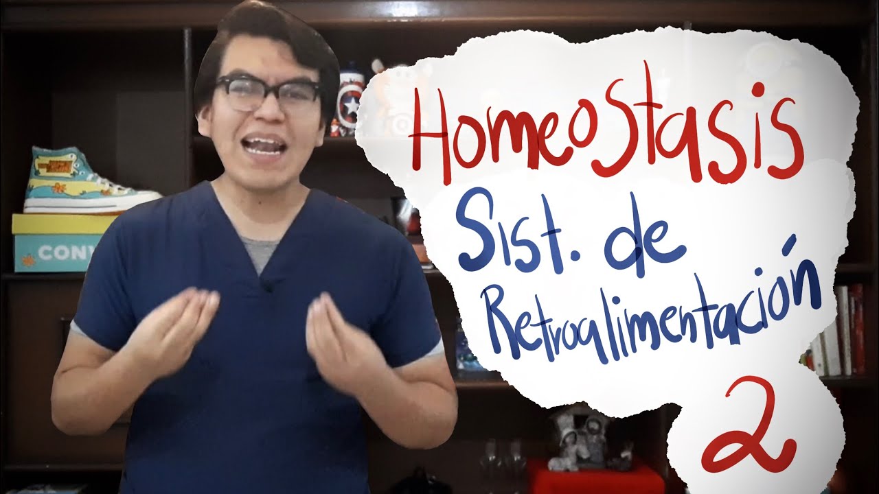 Homeostasis (Sistemas de retroalimentaci&oacute;n) | FISIOLOG&Iacute;A | EXPLICACI&Oacute;N F&Aacute;CIL