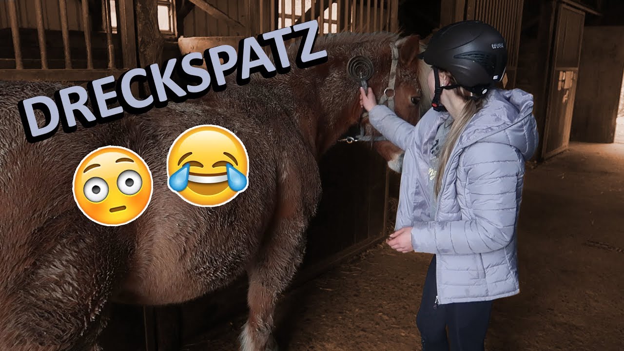 [FMA] Pony-Marathon 🐴 | Die Zeit wird knapp | Marina und die Ponys