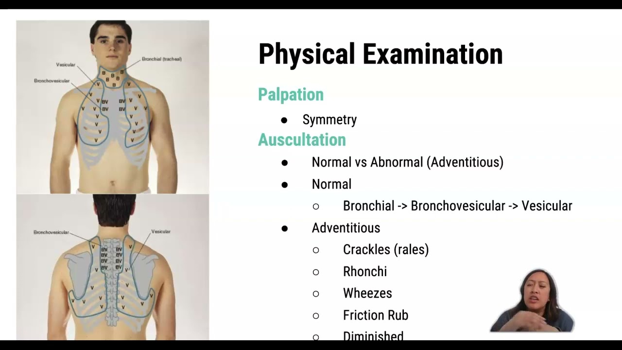 Oxygenation - Assessment (Auscultation)
