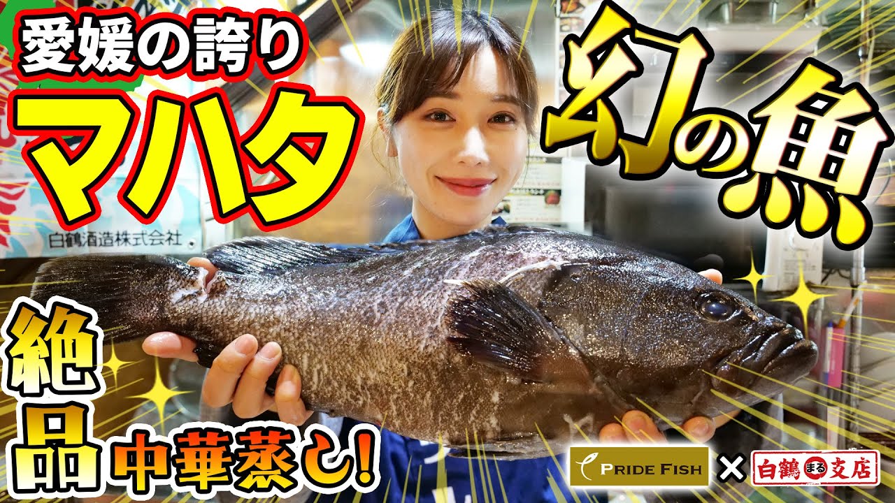 【愛媛の誇り】幻の魚マハタの中華蒸し！鍋と皿で簡単に作れる秘訣も公開！ぷりっぷりの絶品白身魚の味は、まさにまぼろし～級！【魚屋の森さん/PRIDE FISH】