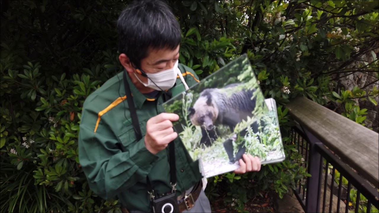 【ズーラシア公式】メガネグマのとっておきタイム