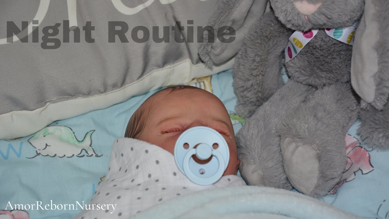 Reborn Teen Mum and Hudson's Night Routine | AmorRebornNursery