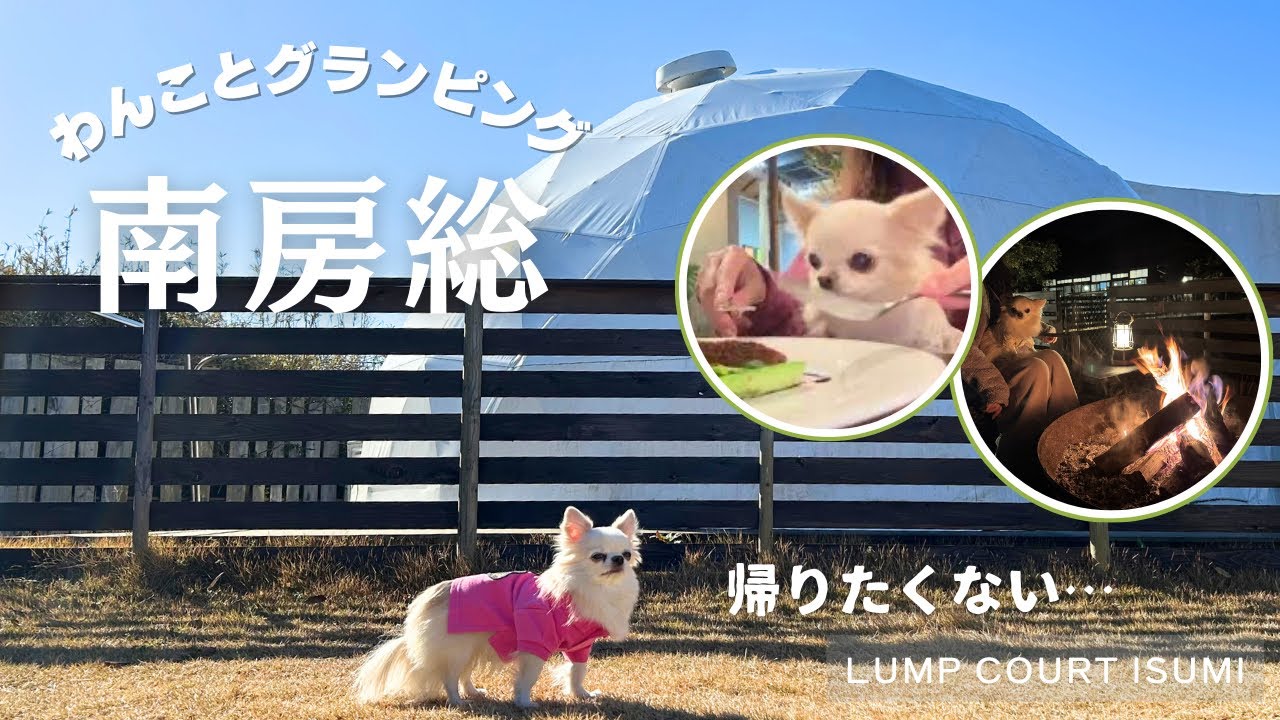 犬連れグランピングで豪華ディナー✨専用ドッグラン＆サウナ付き【千葉・南房総】