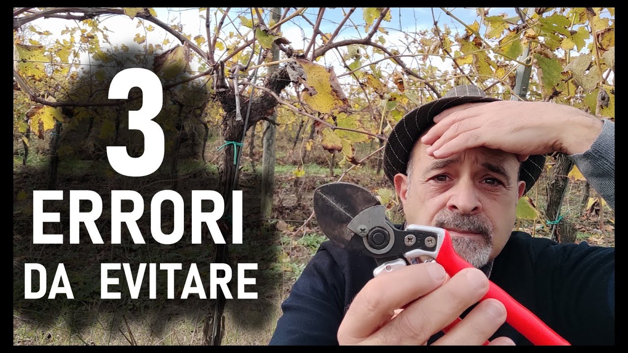 POTATURA VITE ... 3 errori da non fare