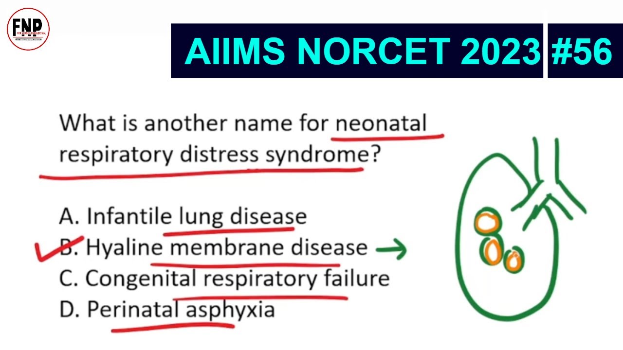 AIIMS NORCET 2023: Complete Exam Preparation with Question & Answers #56